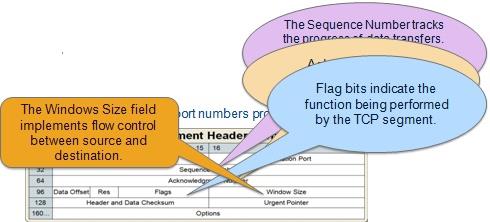 Content Analysis1.jpg